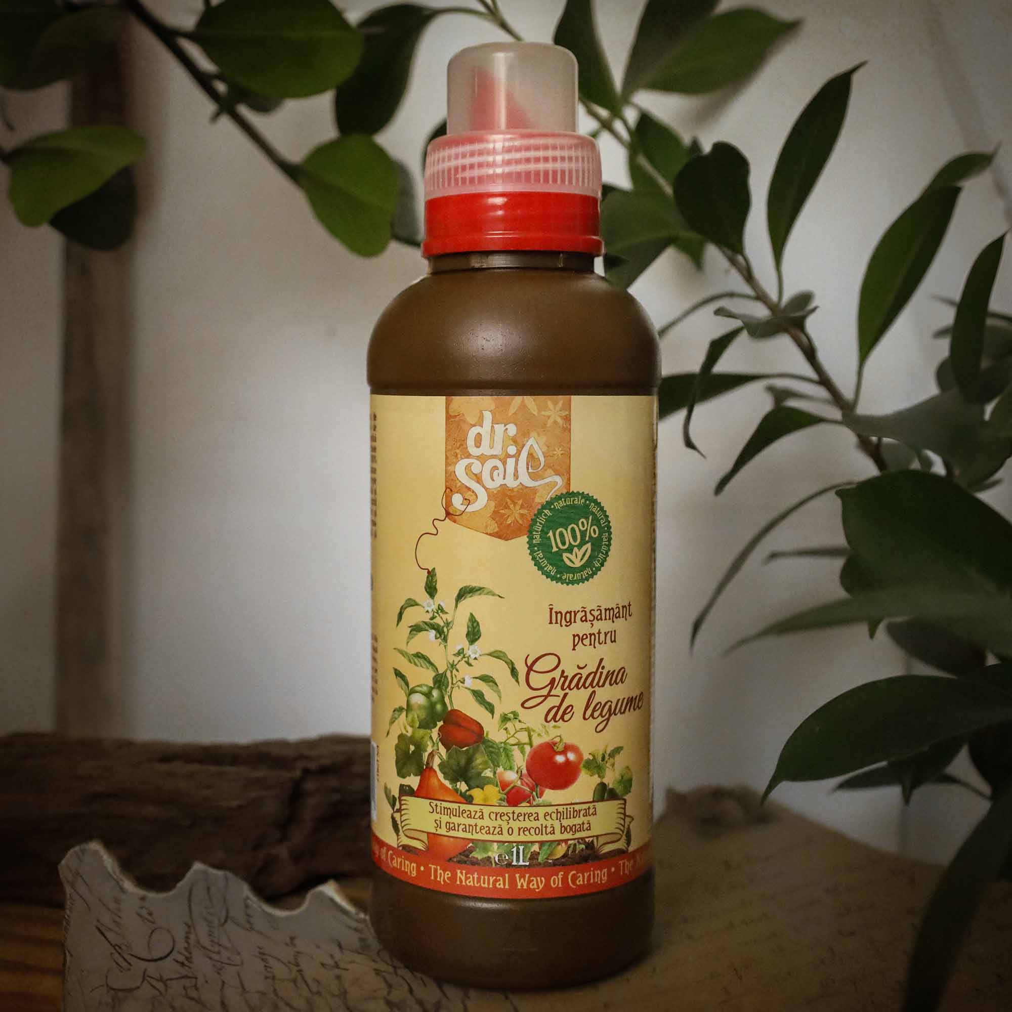 Dr.Soil Ingrasamant organic lichid pentru gradina de legume 1litru - imagine 4