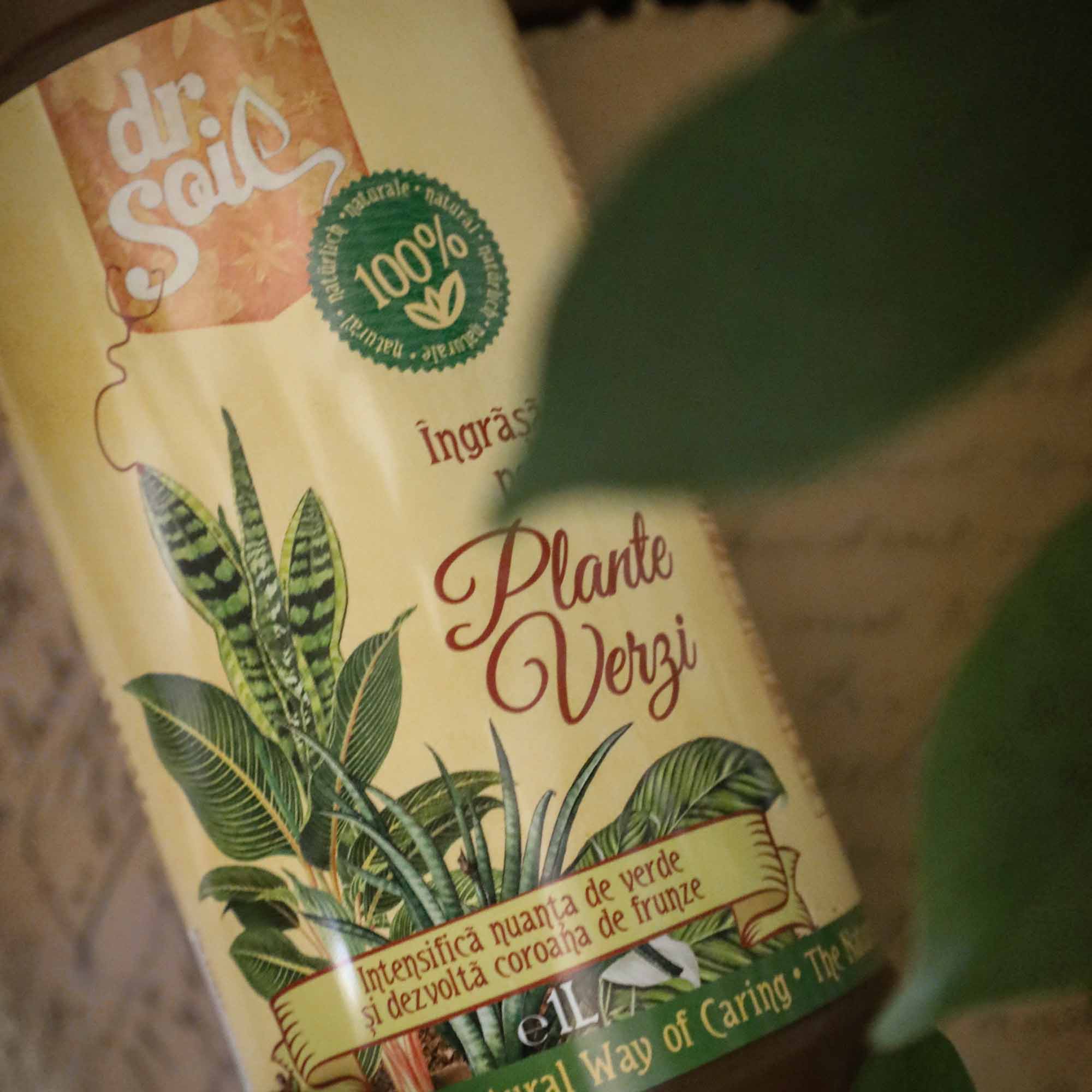 Dr.Soil Ingrasamant organic lichid pentru plante verzi 1 Litru - imagine 4