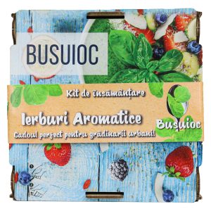 Kit insamantare design busuioc in cutie decorativa tip cadou