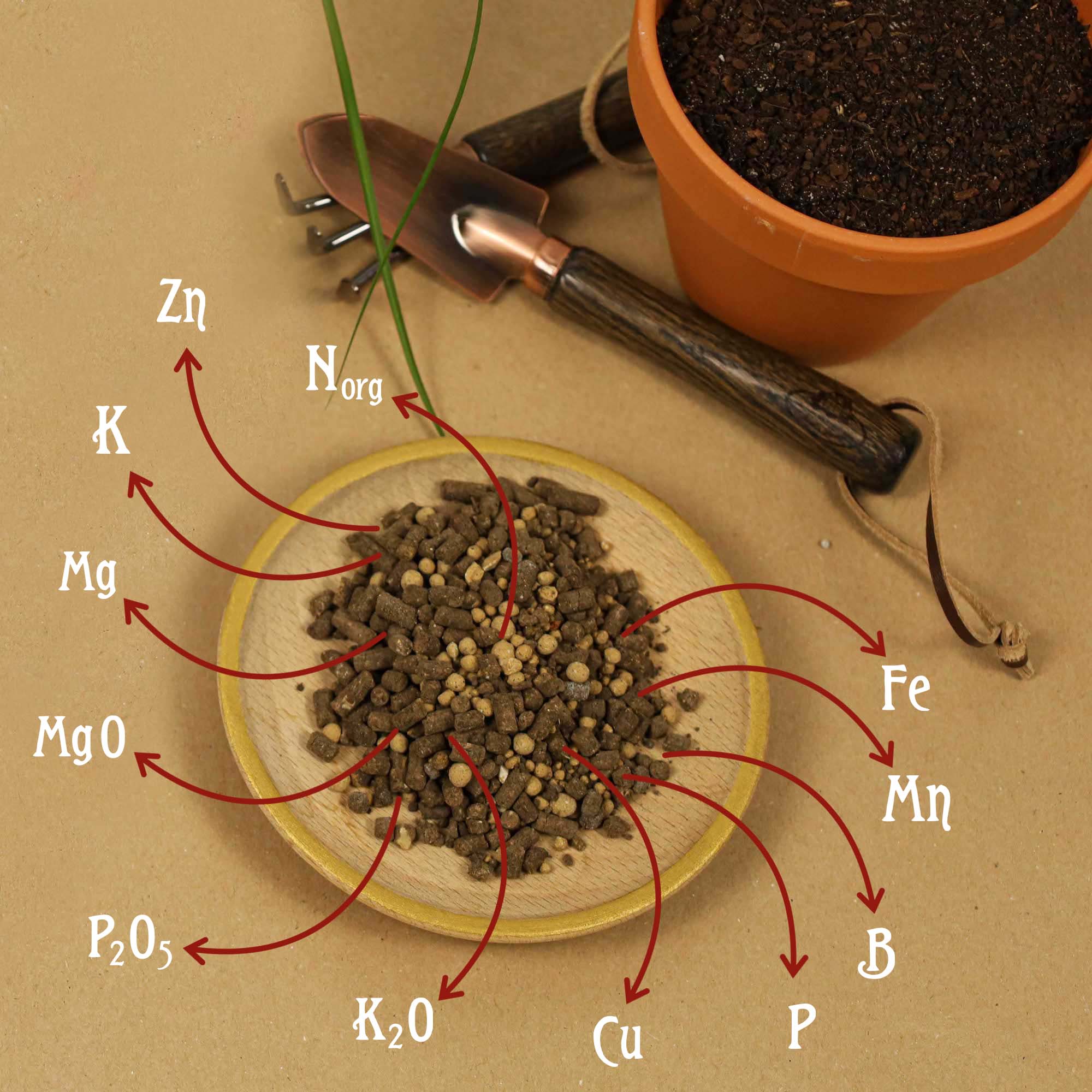 Ingrasamant granulat organic Dr.Soil pentru gazon, la cutie de 850gr, pentru uz hobby - imagine 8