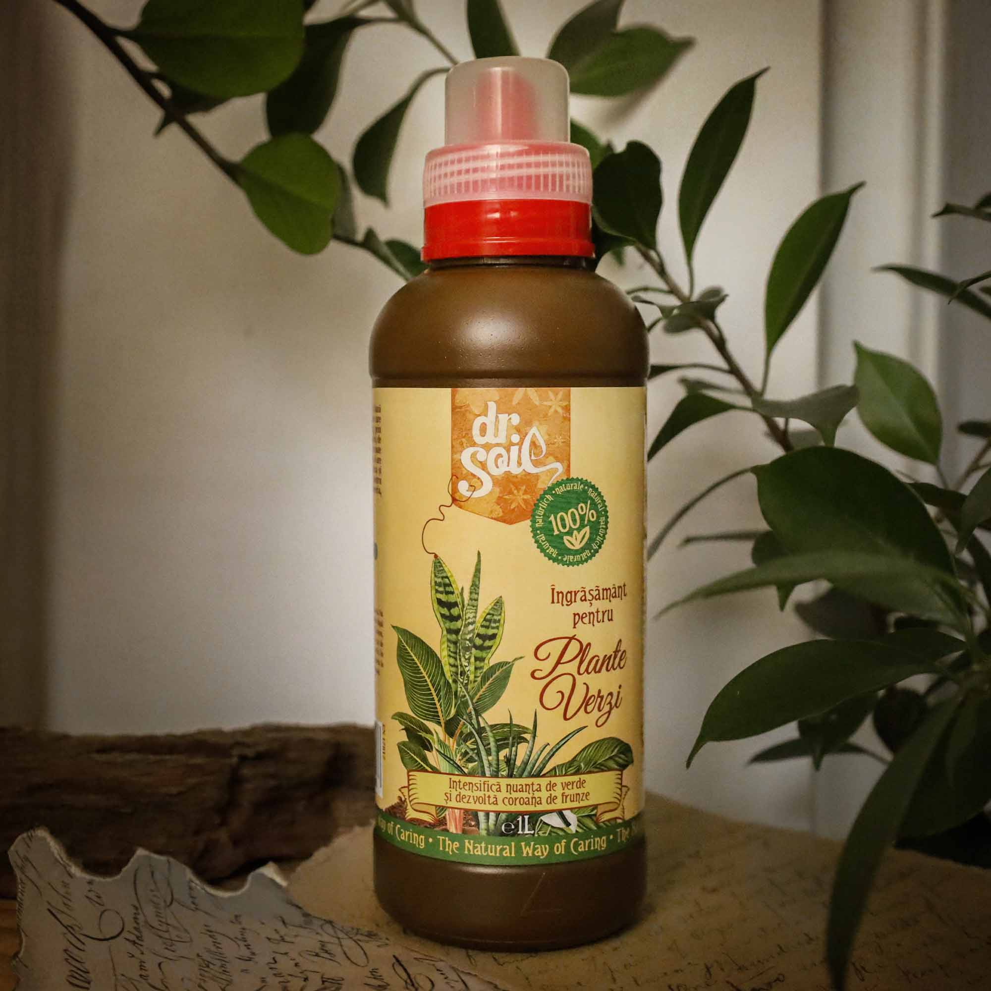 Dr.Soil Ingrasamant organic lichid pentru plante verzi 1 Litru - imagine 3