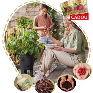 Căpșuna urbană - kit complet de urban gardening