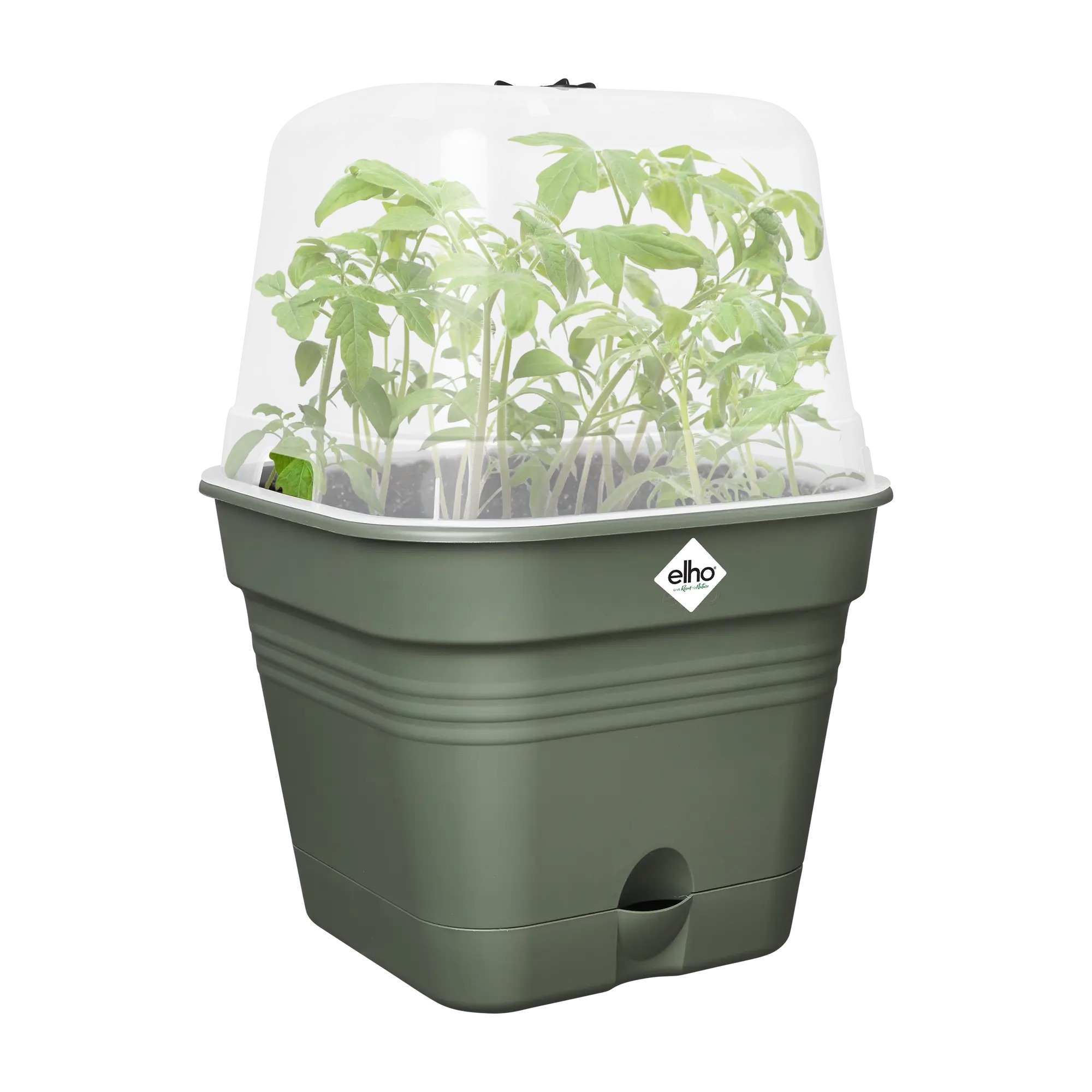 Set ghiveci productie si propagator - Green Basics Growpot square allin1 - imagine 2