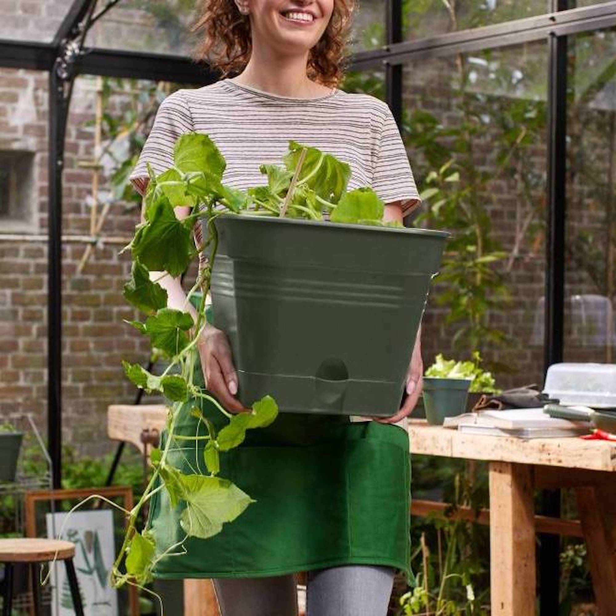 Set ghiveci productie si propagator - Green Basics Growpot square allin1 - imagine 5
