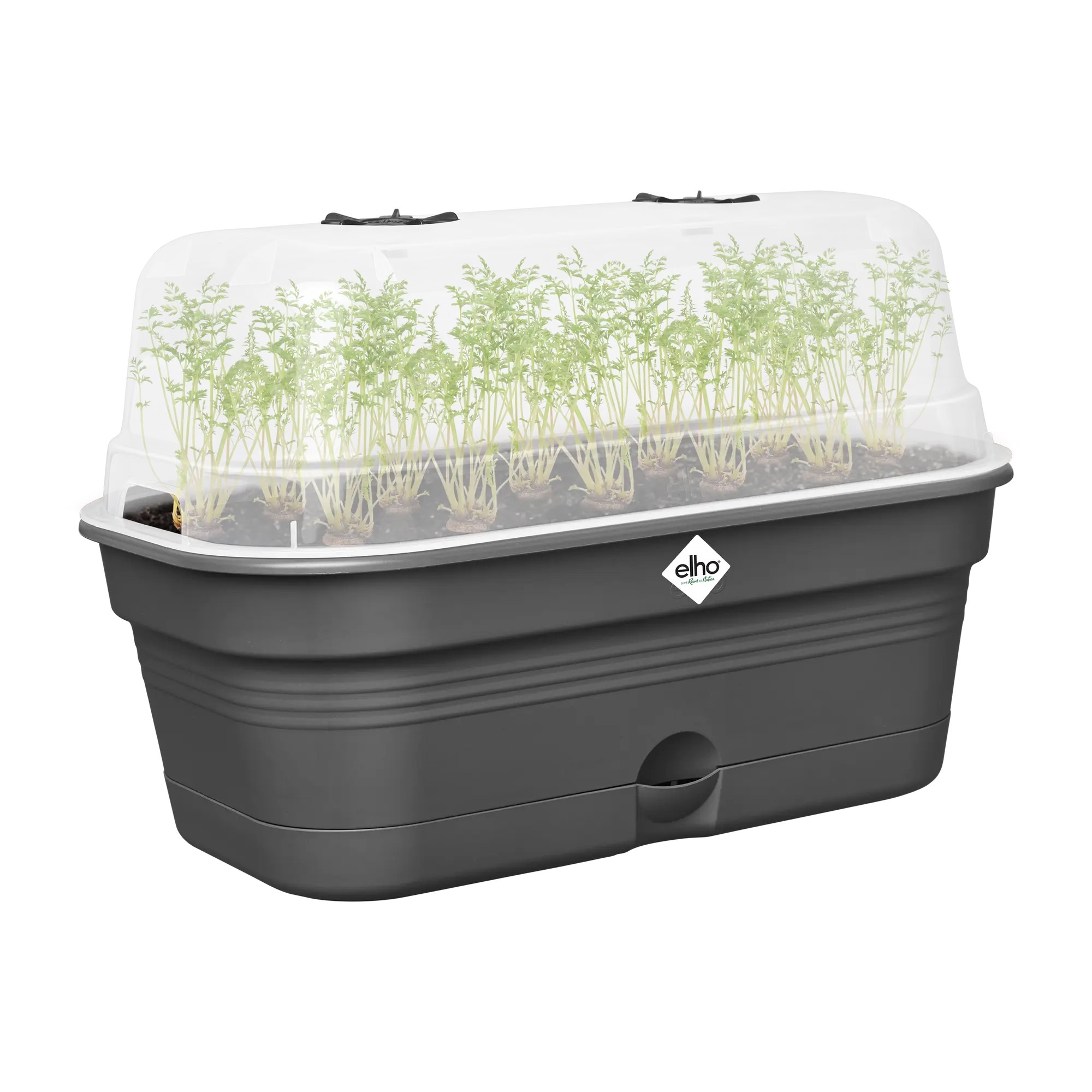 Set tavita productie si propagator green basics grow tray allin1 32cm, culoare living black - imagine 2