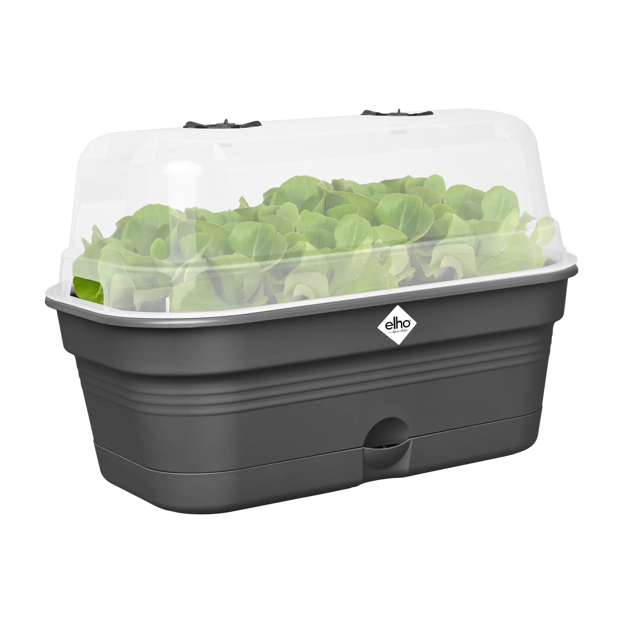 Set tavita productie si propagator green basics grow tray allin1 32cm, culoare living black - imagine 3