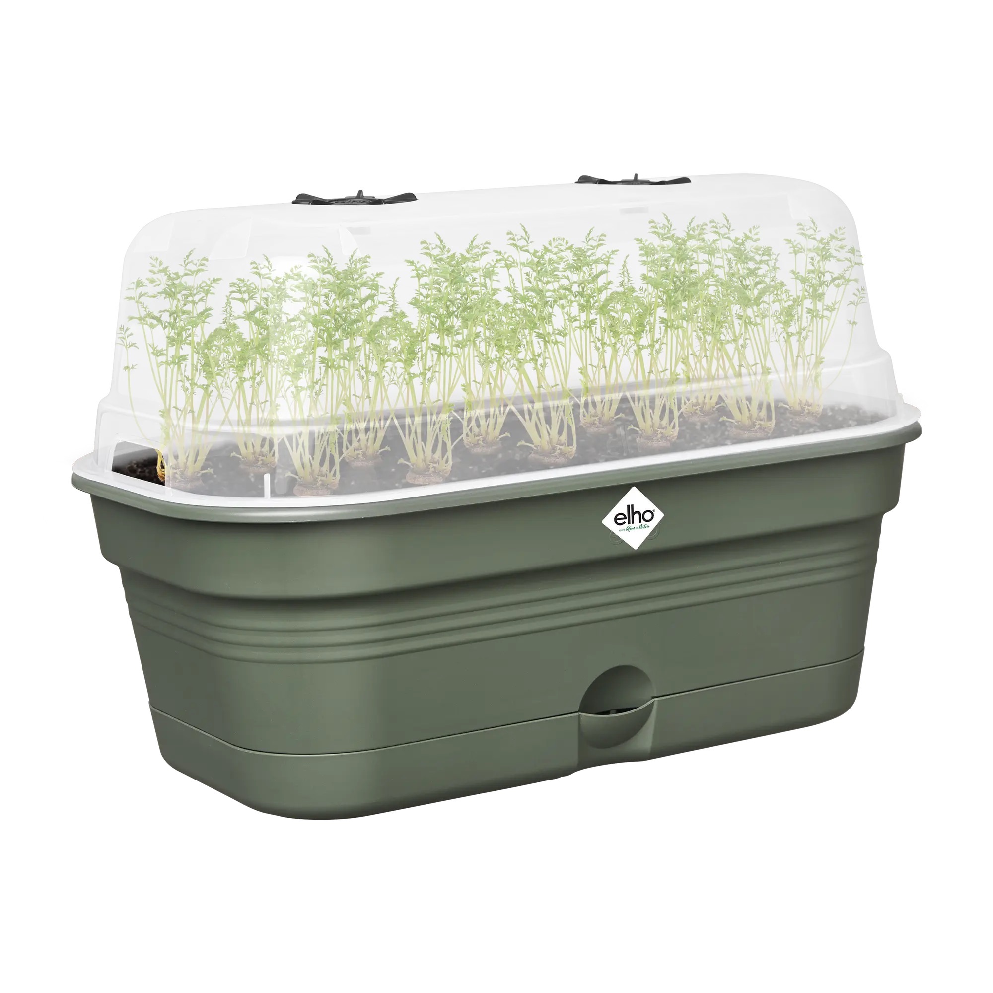 Set tavita productie si propagator green basics grow tray allin1 39cm, culoare leaf green - imagine 2