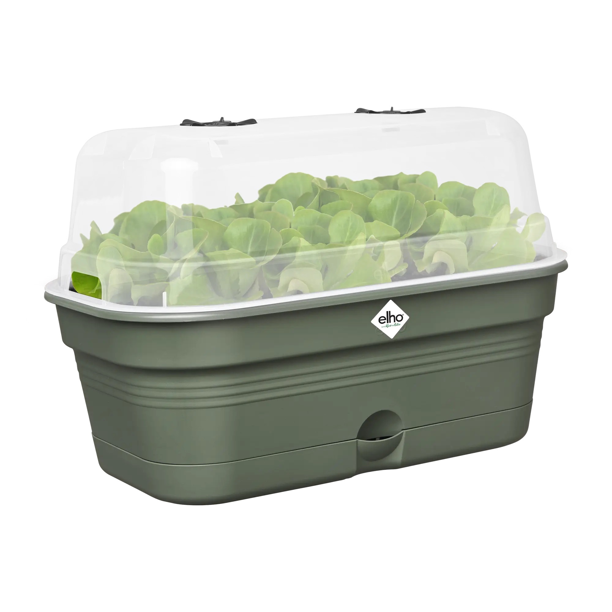 Set tavita productie si propagator green basics grow tray allin1 39cm, culoare leaf green - imagine 3