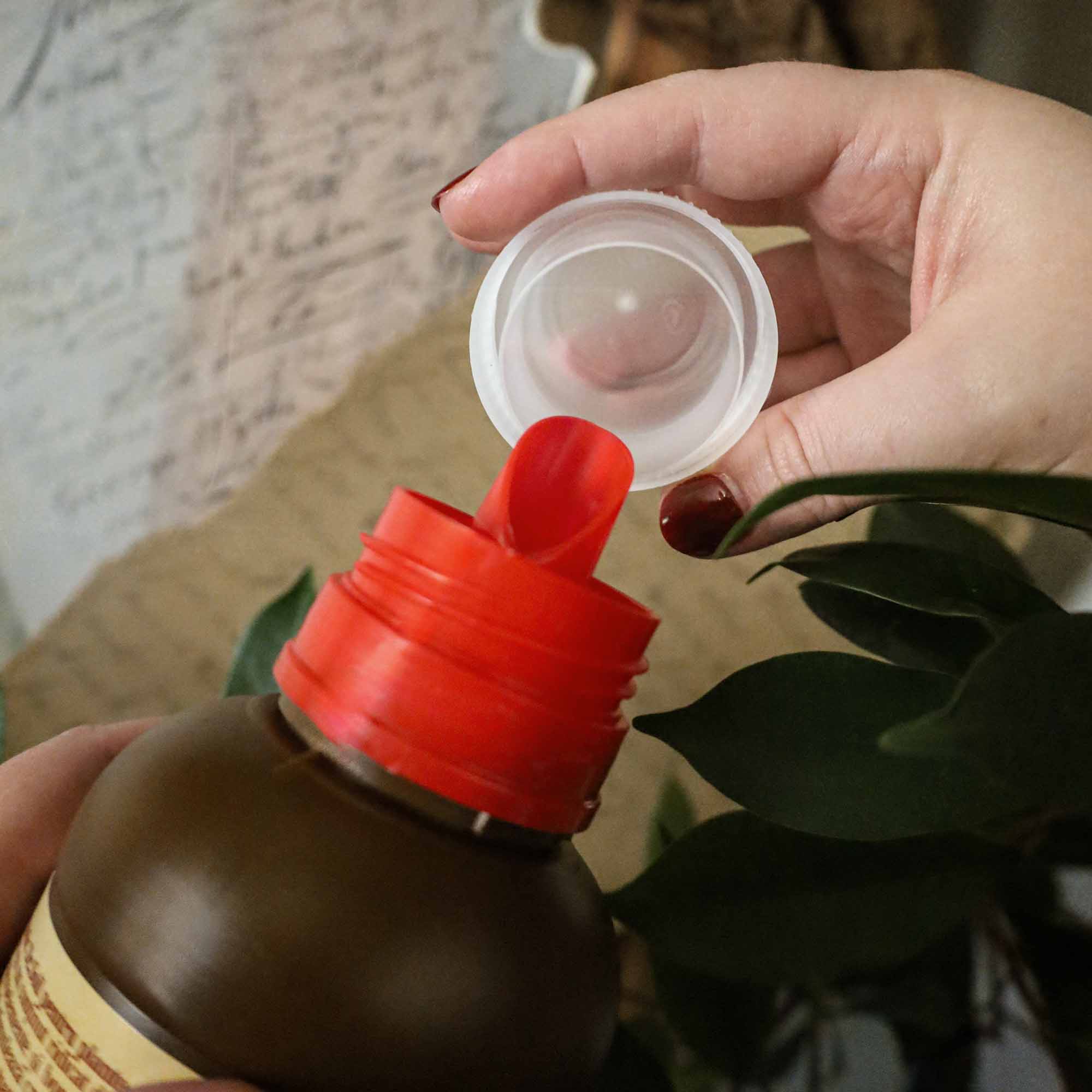 Dr.Soil Ingrasamant organic lichid pentru plante verzi 1 Litru - imagine 6