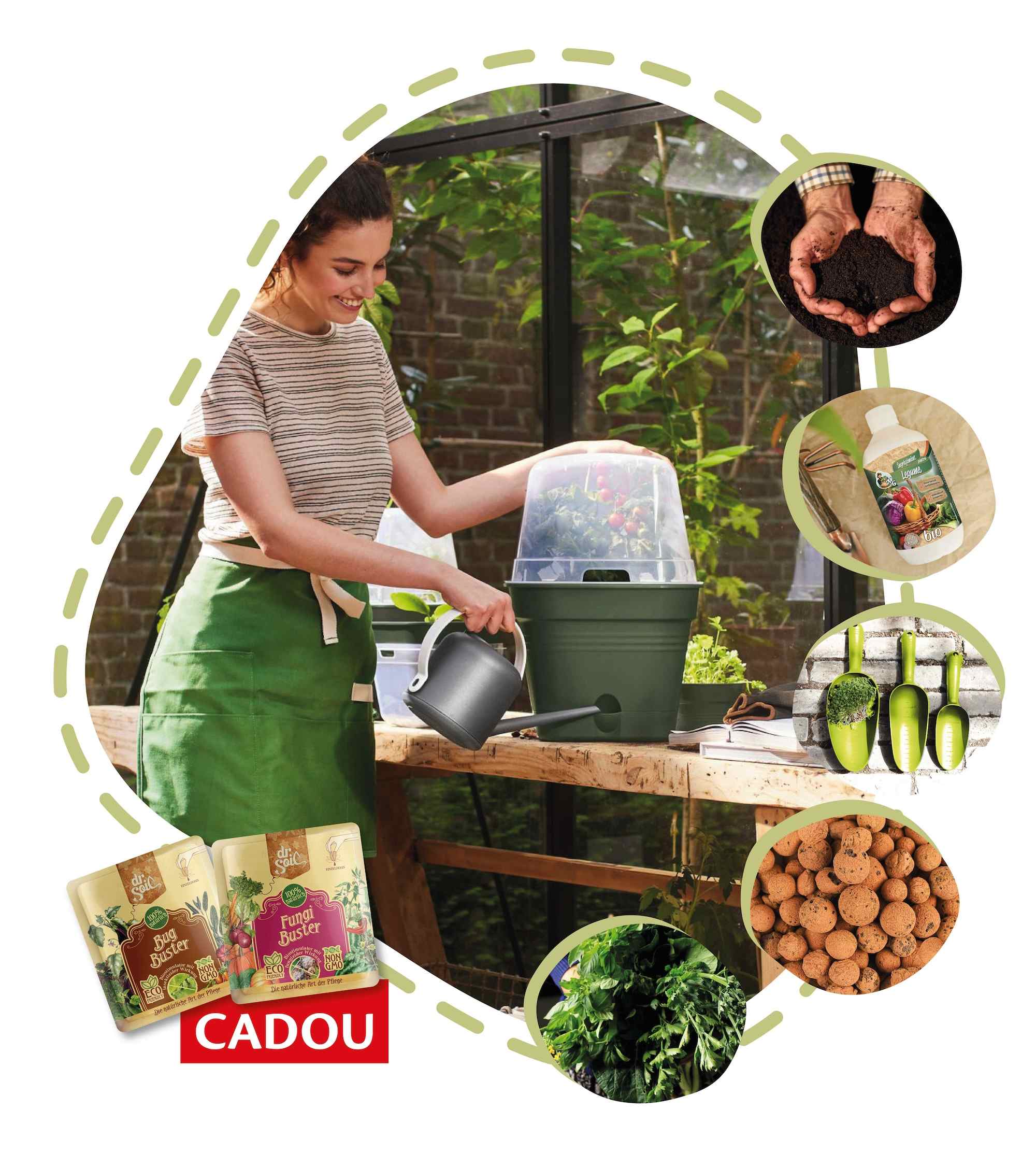 Balkan Garden - kit complet de crescut verdeață de ciorbă pe pervaz