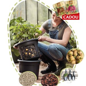 Cartoful urban - kit complet de urban gardening