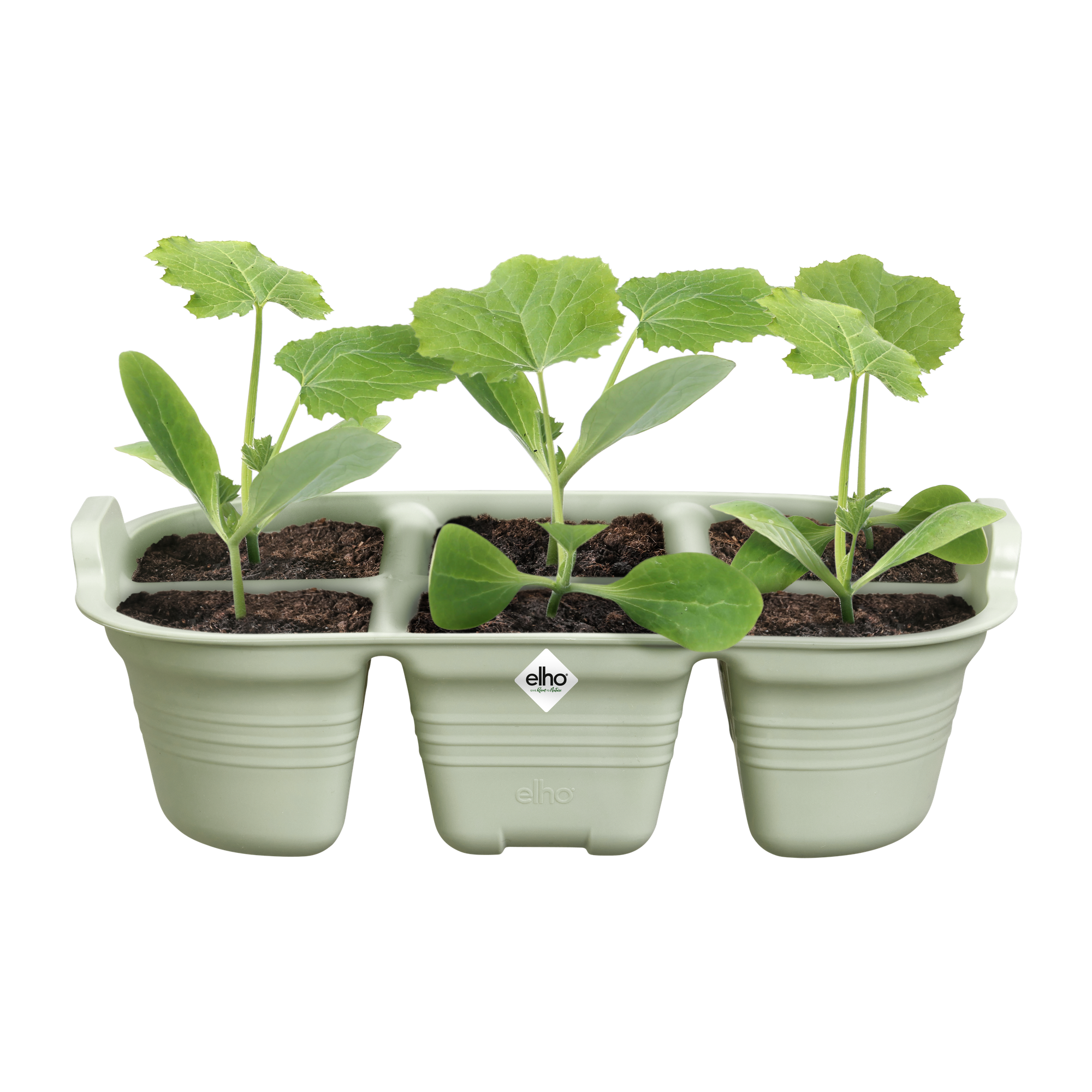 Tavita de insamantare, Green Basics seed tray 22 cm, stone green - imagine 3