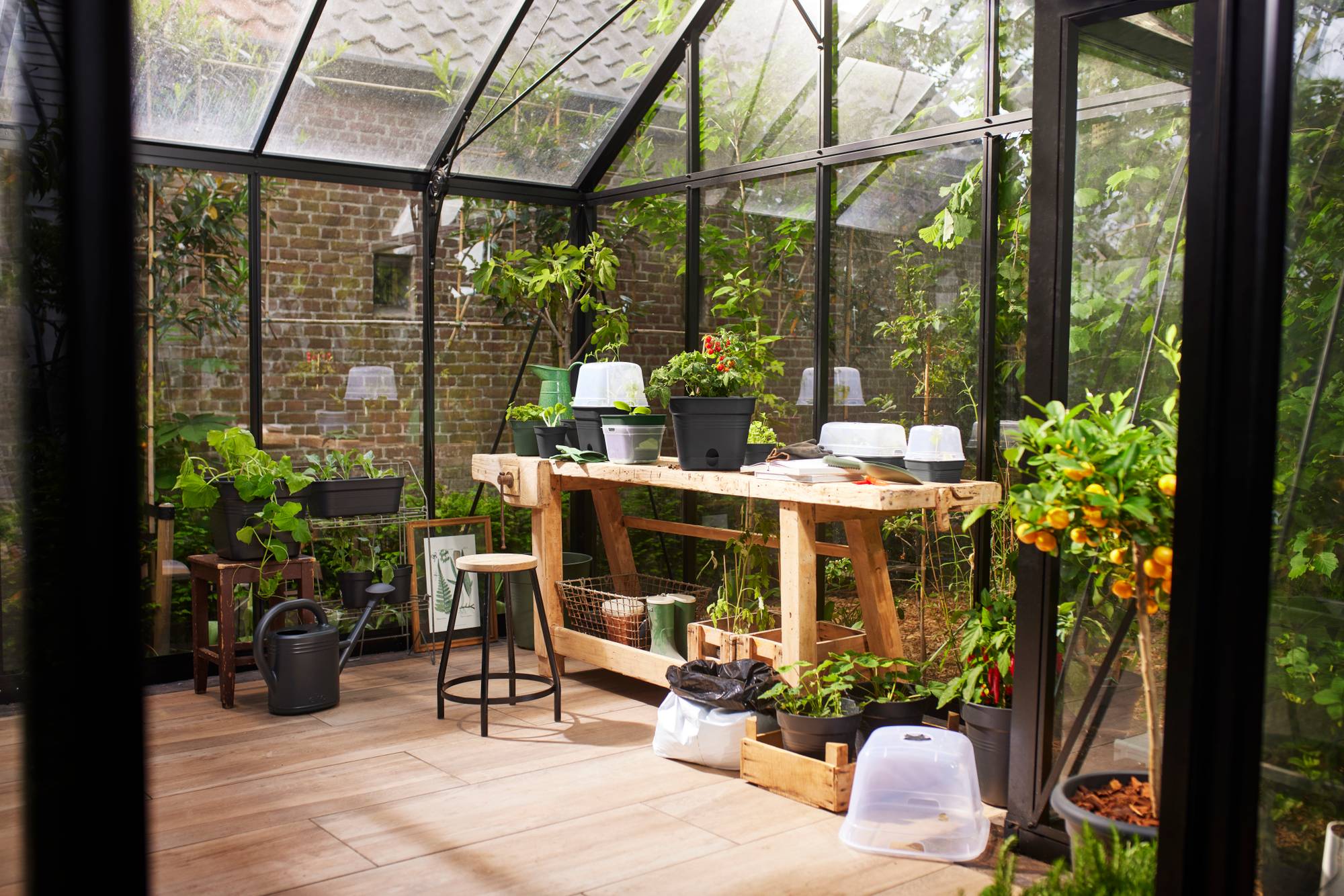 Set tavita productie si propagator green basics grow tray allin1 32cm, culoare living black - imagine 7