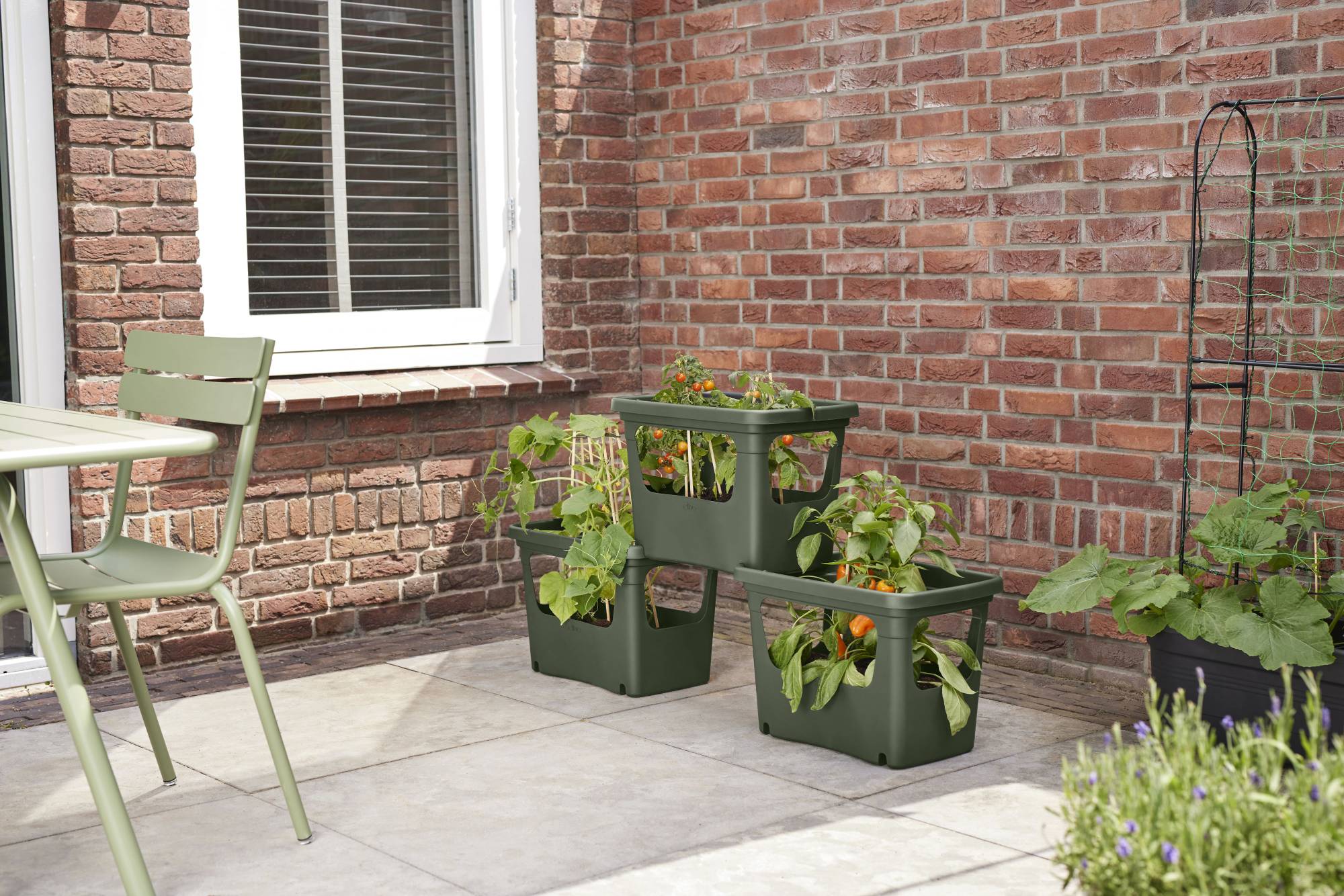 green basics stack & grow large leaf green - imagine 8