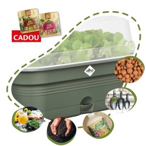 Cocktail Party - kit complet de crescut plante aromatice pentru cocktailuri