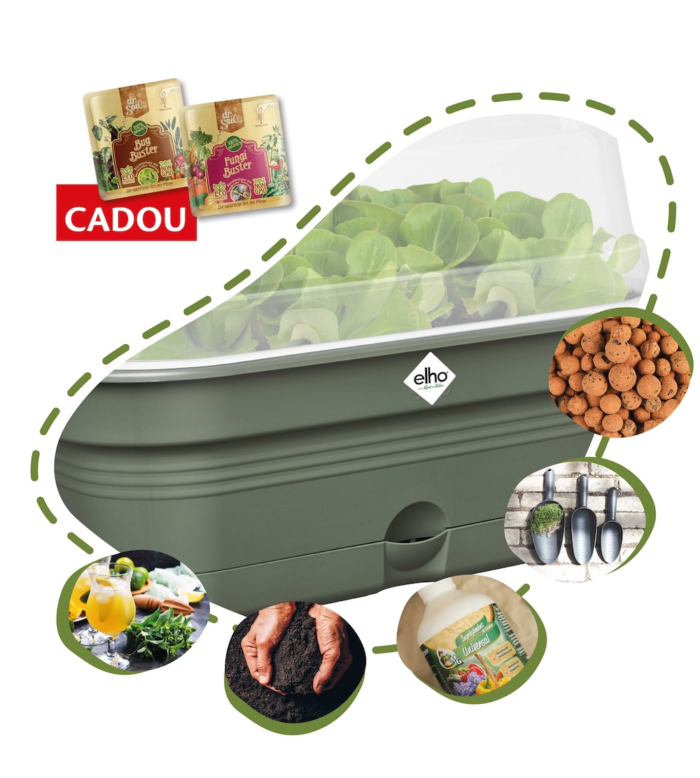 Cocktail Party - kit complet de crescut plante aromatice pentru cocktailuri