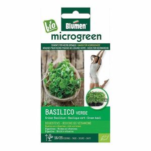 Seminte micro-plante pentru consum Microgreen BIO Blumen, soi Basilico Verde - Busuioc Italian