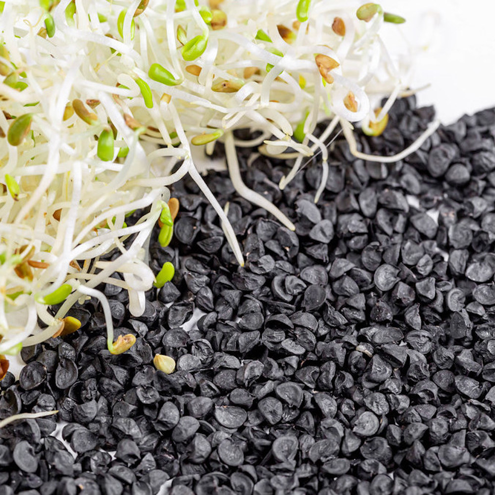 Seminte de germeni BLUMEN BIO Cipolla - Ceapa - imagine 4