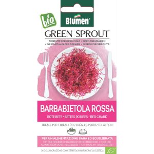 Seminte de germeni BLUMEN BIO Barbabietola Rossa - Sfecla Rosie