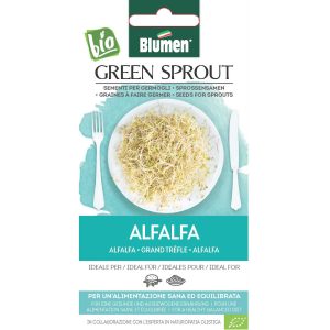 Seminte de germeni BLUMEN BIO Alfalfa - Lucerna