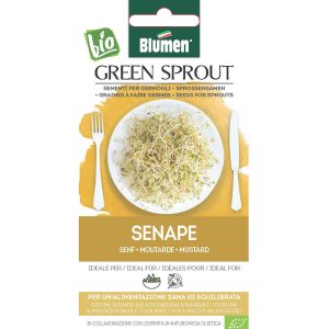 Seminte de germeni BLUMEN BIO Senape - Mustar