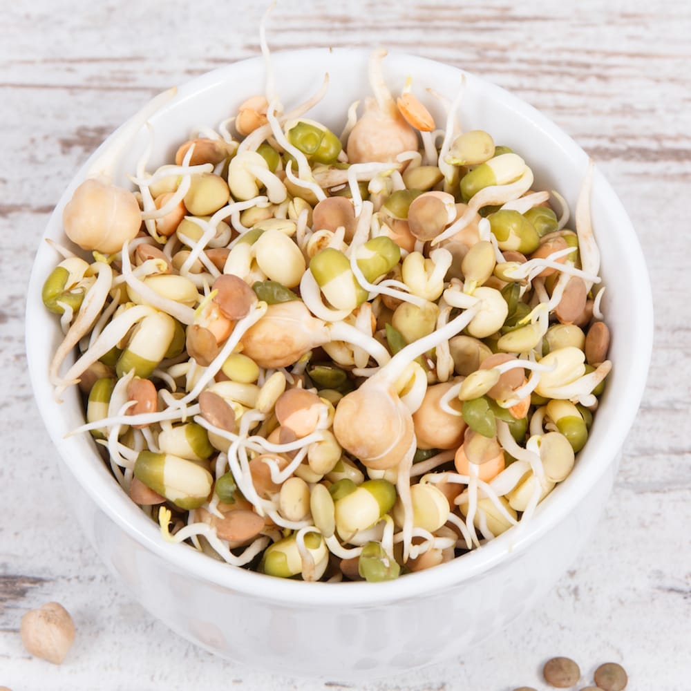 Seminte de germeni BLUMEN BIO Cece - Naut - imagine 3