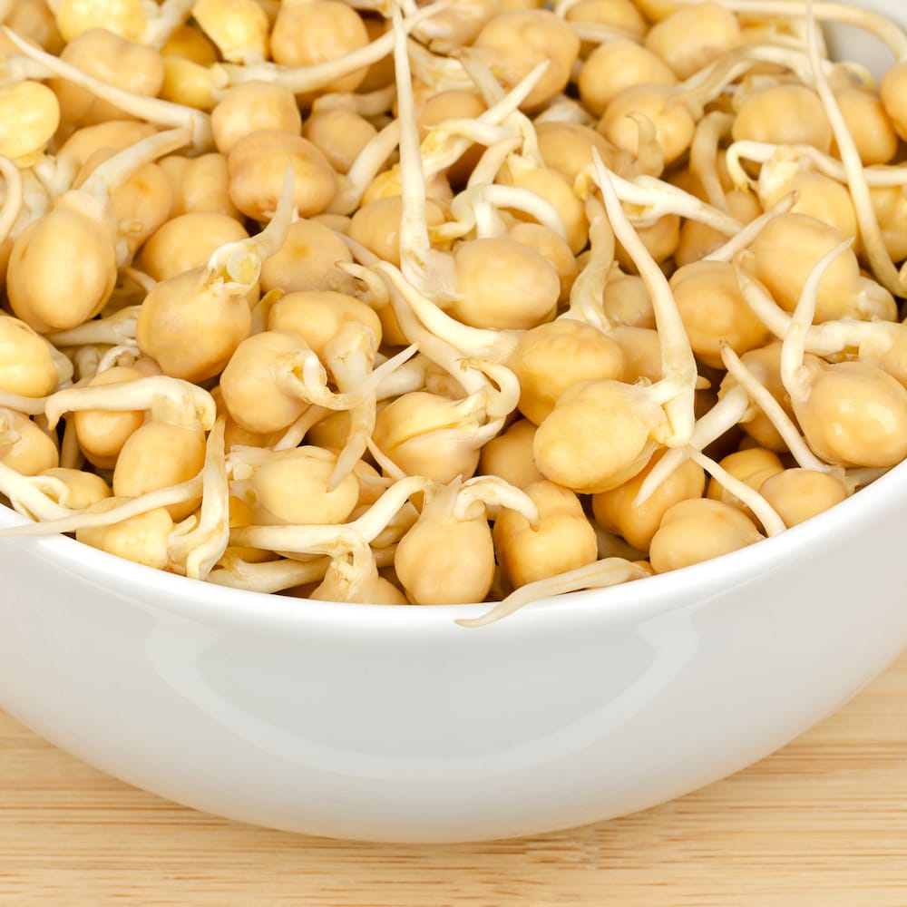 Seminte de germeni BLUMEN BIO Cece - Naut - imagine 4