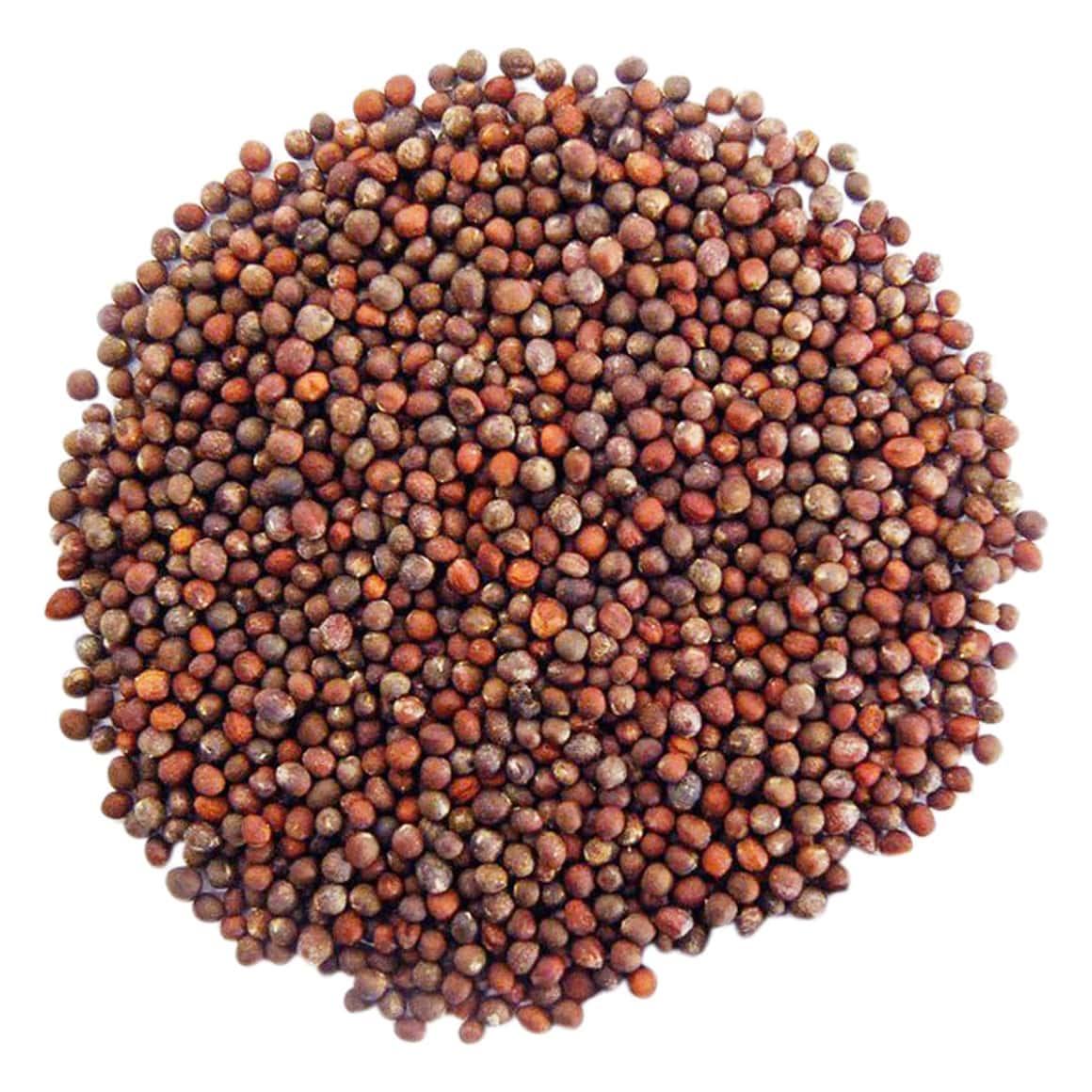 Seminte de microgreen BLUMEN BIO Broccoli - Broccoli - imagine 2