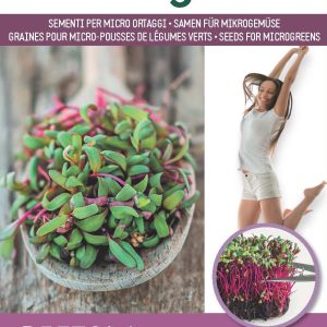 Seminte de microgreen BLUMEN BIO Bietola - Mangold