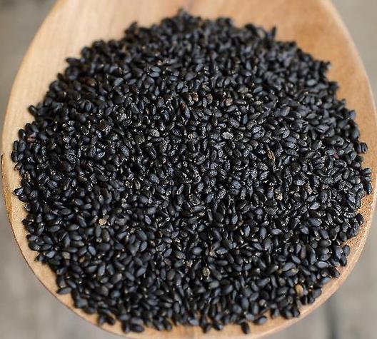 Seminte de microgreen BLUMEN BIO Basilico Rosso - Busuioc rosu - imagine 3