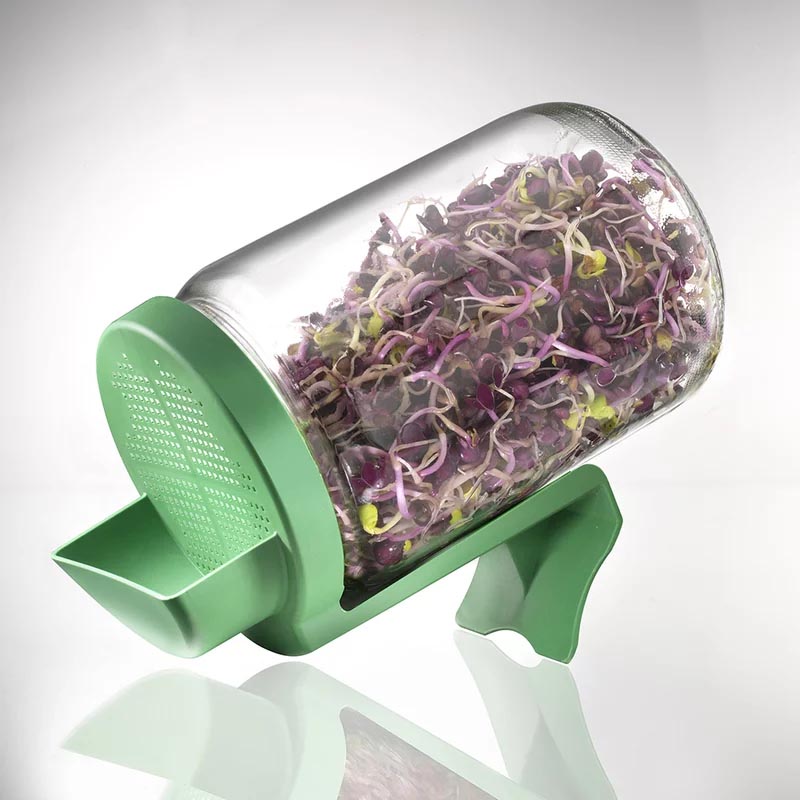 Germinator hobby din sticla Bicchiere Blumen BIO - imagine 2