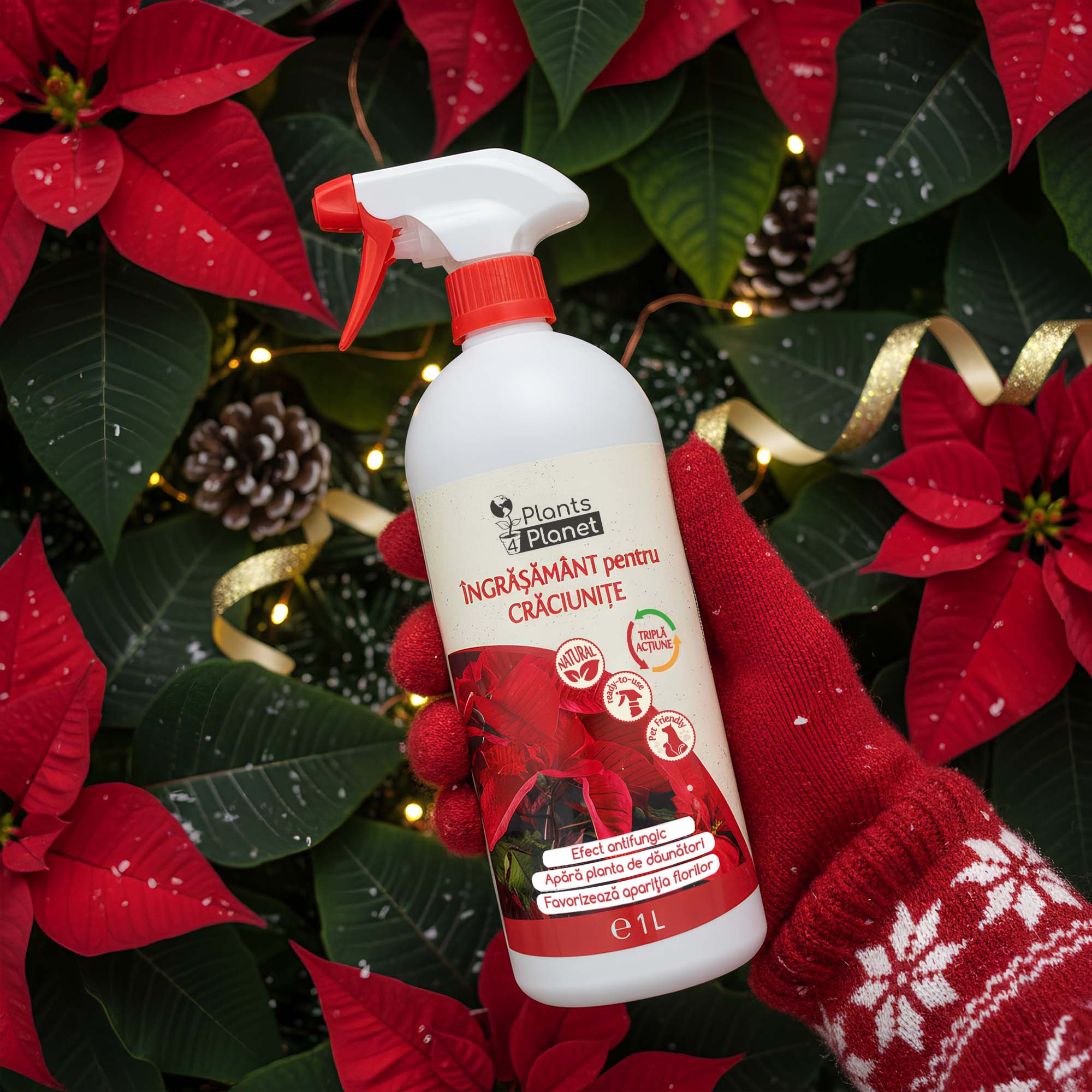 Plants 4 Planet Ingrasamant 3 in 1 pentru Craciunite, gata de utilizare, 1 litru - imagine 3
