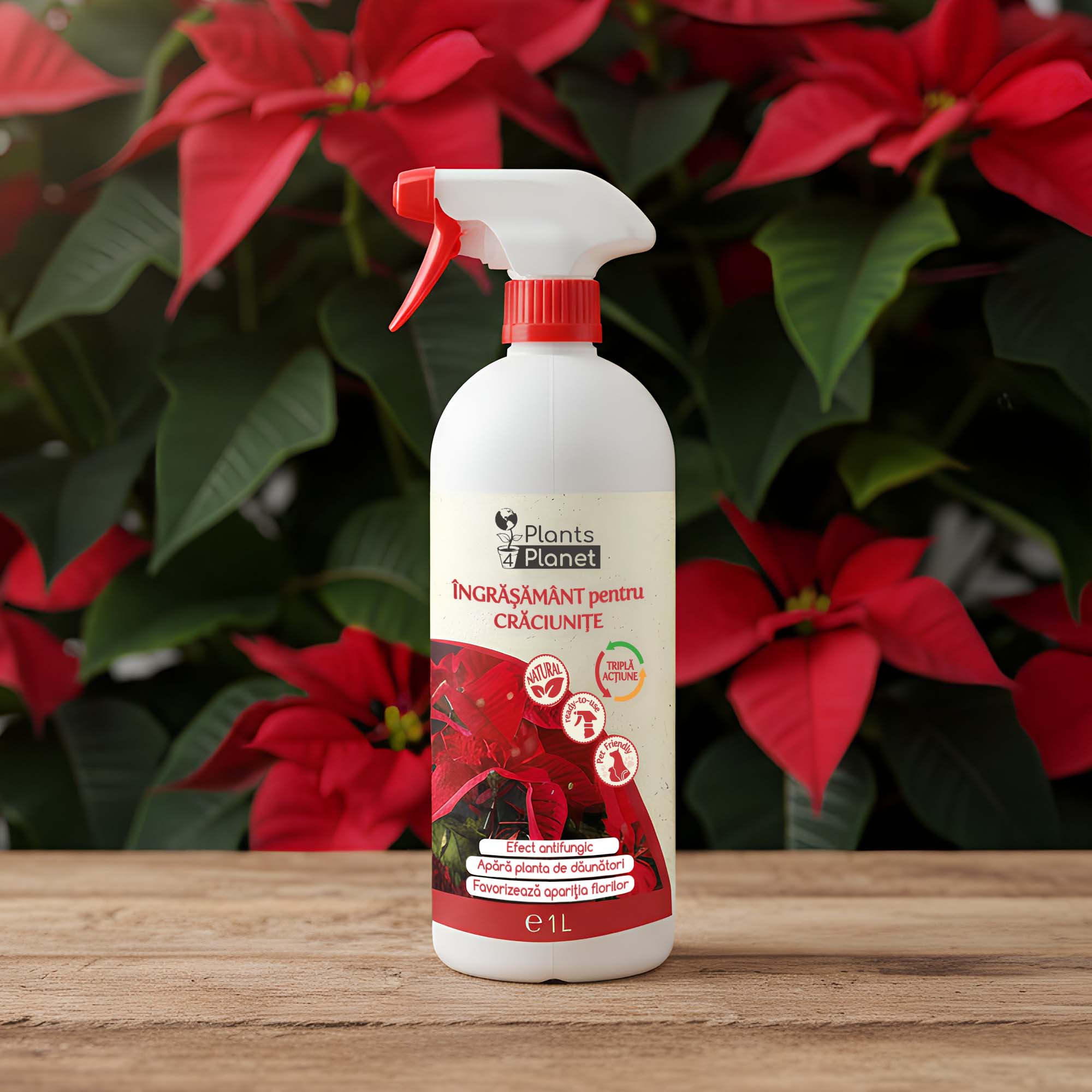 Plants 4 Planet Ingrasamant 3 in 1 pentru Craciunite, gata de utilizare, 1 litru - imagine 2