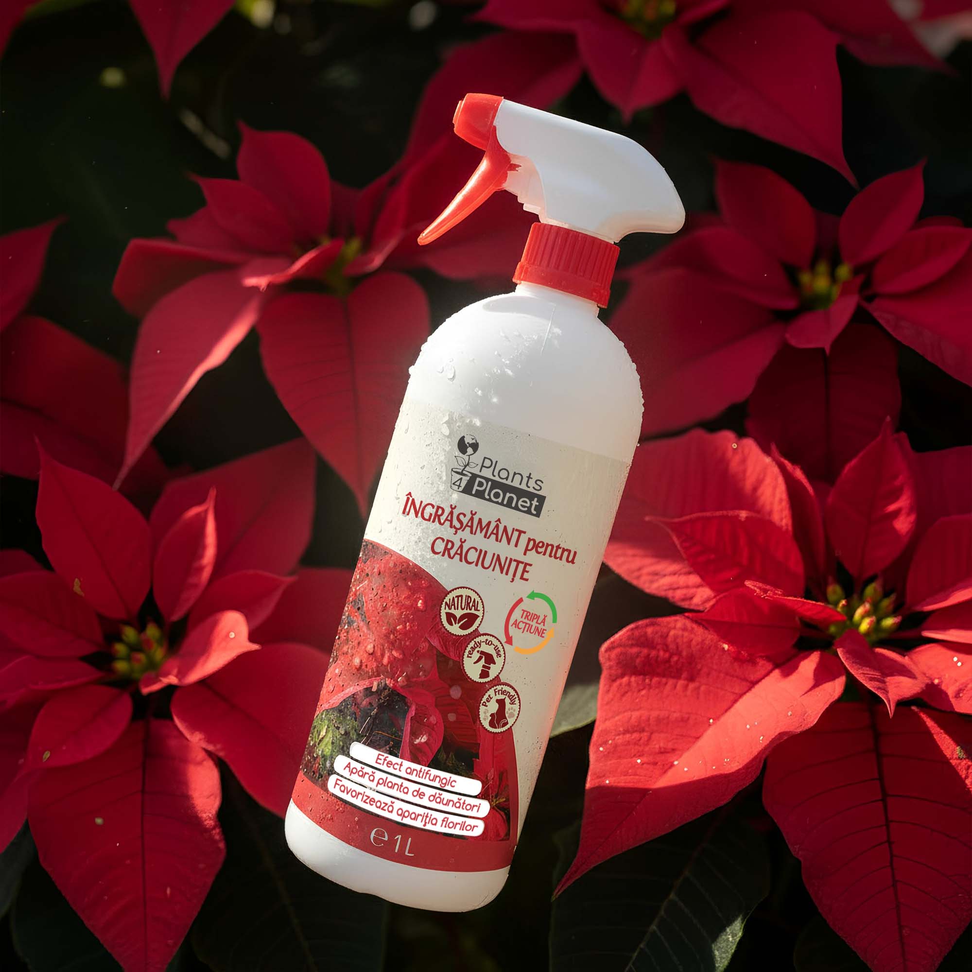 Plants 4 Planet Ingrasamant 3 in 1 pentru Craciunite, gata de utilizare, 1 litru - imagine 5