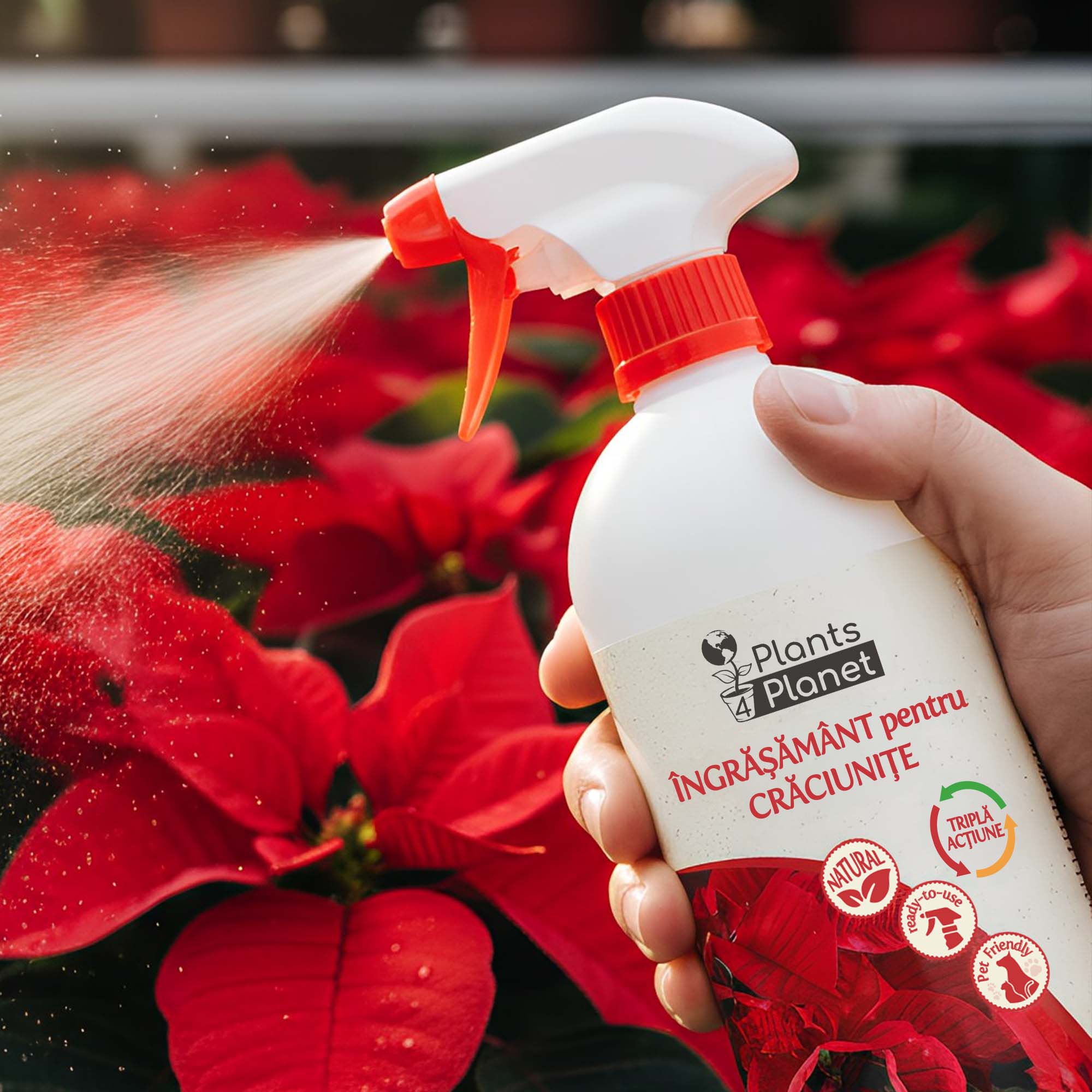 Plants 4 Planet Ingrasamant 3 in 1 pentru Craciunite, gata de utilizare, 1 litru - imagine 4
